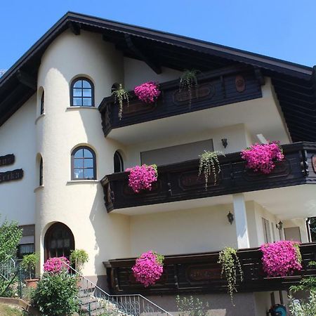 Pension Haus Erika Stadtprozelten Extérieur photo