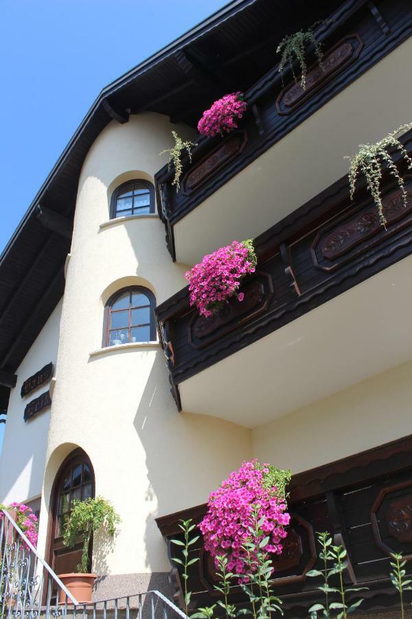 Pension Haus Erika Stadtprozelten Extérieur photo