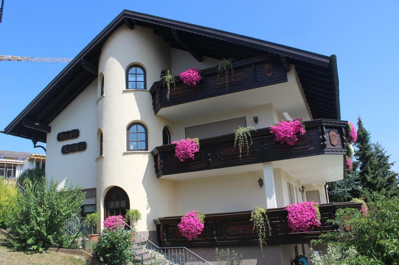 Pension Haus Erika Stadtprozelten Extérieur photo